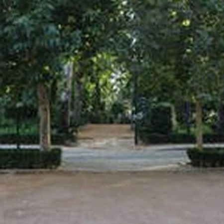 Fabuloso Piso Junto A Paseo De La Bomba Granada Exterior photo